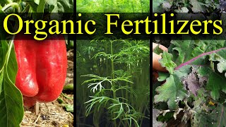 Organic Fertilizers  My Top 5 Choices For 2021 [upl. by Colwin]