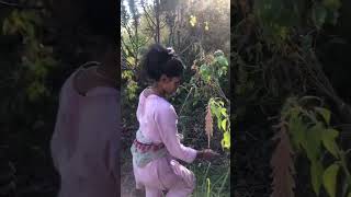 shorts shortvideo viralvideo video nature [upl. by Armilla]