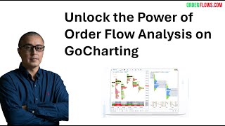 Unlock the Power of Order Flow Trading on GoCharting [upl. by Justicz]