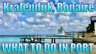 Walking in Kralendijk Bonaire  What to Do on Your Day in Port [upl. by Beckman]