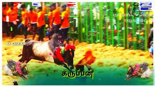 Karuppan jallikattu video tamil [upl. by Allicirp]