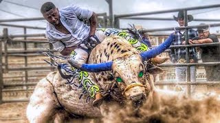 10 Most Dangerous Bulls of Rodeo History [upl. by Matta]