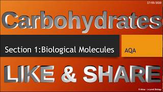 Carbohydrates Section 1  Biological molecules Alevel biology [upl. by Yessydo320]