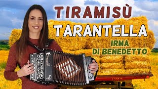 TIRAMISU Tarantella IRMA DI BENEDETTO  Organetto Abruzzese Accordion di Davide Di Giovanni [upl. by Twedy]