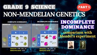 NONMENDELIAN GENETICS INCOMPLETE DOMINANCE  GRADE 9 SCIENCE  BIOLOGY [upl. by Eliason]