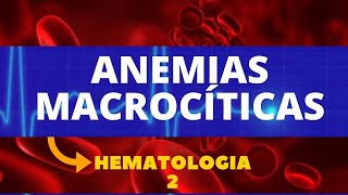 ANEMIAS MACROCÍTICAS  HEMATOLOGIA  AULA 2 [upl. by Singh]