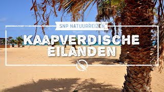 Kaapverdische Eilanden  SNP [upl. by Shumway522]