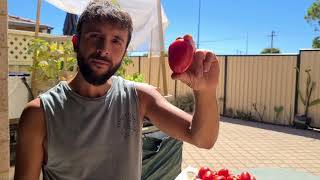 How to make homemade Italian Sun dried tomatoes [upl. by Suirrad]