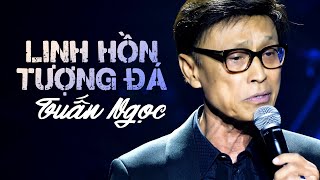 Linh Hồn Tượng Đá  Tuấn Ngọc  Official Music Video  Mây Saigon [upl. by Iznik]