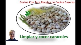 LIMPIAR Y COCER CARACOLES [upl. by Ferretti546]