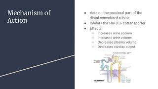 Indapamide for Hypertension [upl. by Noek]