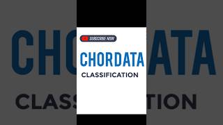 CHORDATA CLASSIFICATION [upl. by Euginomod]