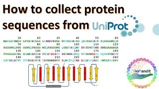 How to collect a Protein Sequence from Uniprot [upl. by Carina]