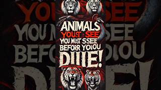 Animals you need to see before you diereels animals [upl. by Felike]