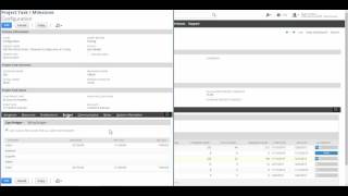 NetSuite Project Costing amp Budgeting Module Overview Demo [upl. by Eremihc]