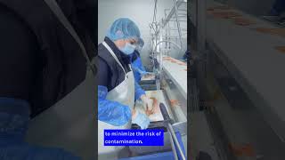 Preventing CrossContamination in Food Processing [upl. by Adamik759]