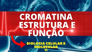 CROMATINA – ESTRUTURA E FUNÇÃO  BIOLOGIA CELULAR E MOLECULAR  AULA 11 [upl. by Belmonte331]