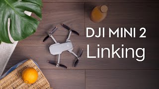 DJI Mini 2  How to Link the Remote Controller [upl. by Erdreid]