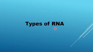 Grade 12 life sciences group22 tutorial video [upl. by Eiramave490]