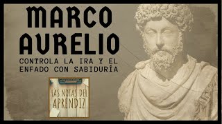 Domina la IRA con SABIDURÍA  Actúa INTELIGENTE ▶ 5 Pasos ESTOICISMO  Las Notas del Aprendiz [upl. by Phira]