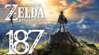 Lets Play Zelda Breath of the Wild Part 187 Der Schatten weist den Weg [upl. by Aikenat]