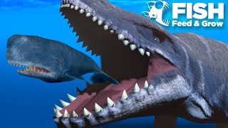 PLAYING AS THE MOSASAUR  Fish Feed Grow [upl. by Ingrim]