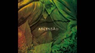 Serena Assumpção  Ascensão  Álbum Completo  Selo Sesc [upl. by Wadleigh]