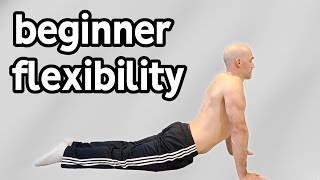 Beginner Stretches For Flexibility Full Routine [upl. by Donella820]