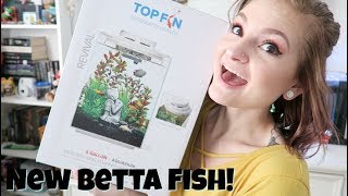 Top Fin Waterfall 5 Gallon Tank UnboxingSetup  My New Betta Fish  Alyssa Nicole [upl. by Tavey]