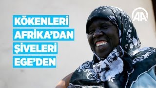 Kökenleri Afrikadan şiveleri Egeden [upl. by Llenal]