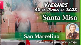 âœ… MISA DE HOY viernes 02 de Junio 2023  Padre Arturo Cornejo [upl. by Nordgren399]