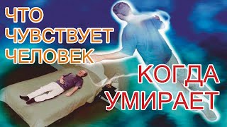 Жизнь После Смерти  Что чувствует человек когда умирает [upl. by Noevad]