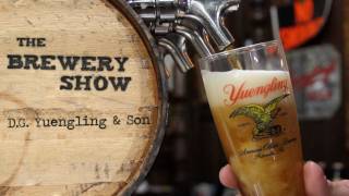 Yuengling Brewery  Brewery Show [upl. by Nylyrehc105]