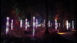 Dunham Massey Christmas light show Part 2 [upl. by Ordep918]