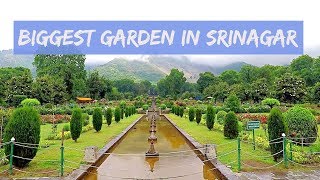 Biggest Mughal Garden  Nishat Bagh in Srinagar Kashmir India  Kashmir Tour  Safar Stories [upl. by Hcib228]