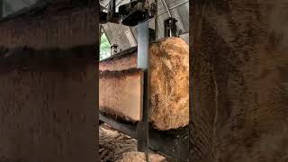 woodworking The process of splitting large wood for furniture raw materials [upl. by Shull]