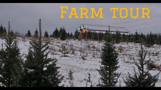 The best choose and cut Christmas Tree Farm in Tennessee [upl. by Wilhelm]