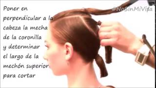 Tutorial  Corte Bob facilísimo para hacerse en casa [upl. by Sandon908]