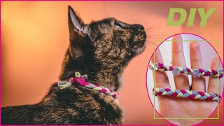 DIY CAT Collar from OLD Clothes No Sewing needed [upl. by Pulchia]