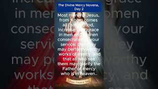 Divine Mercy Novena Day 2 thecatholiccharismatic truth theholyrosaryoftheblessedvirginmary [upl. by Gearard]