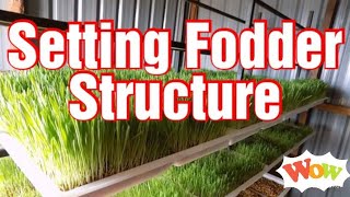 Setting Hydroponic fodder Structure [upl. by Hakon221]