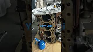 Nissan yd25 ddti engine rebuild [upl. by Anaerol]