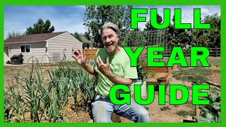 How to Grow Garlic  COMPLETE GUIDE Planting to Harvest [upl. by Orel799]