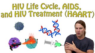 HIV Life Cycle AIDS and HIV Treatment HAART [upl. by Hcurob]