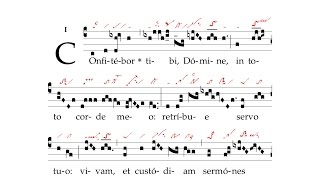 Offertorium Confitebor tibi Domine [upl. by Angid]