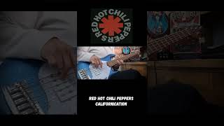 Red Hot Chili Peppers  CalifornicationBass Cover shorts basscover rock [upl. by Stalker]