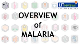 Overview of Malaria [upl. by Horbal292]