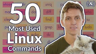 The 50 Most Popular Linux amp Terminal Commands  Full Course for Beginners [upl. by Hillary]