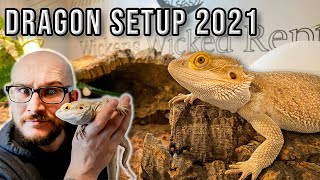 Bearded Dragon Setup  How To Set Up A Bearded Dragon Enclosure On A Budget 2021 [upl. by Nwahsal]