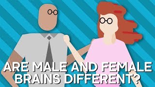 Are Male And Female BRAINS Different  Earth Science [upl. by Frolick906]